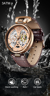 OVERFLY LIGE Mens Watch Analog Luxury Watch Rose Gold Case with Brown Leather Strap Wrist Watch For Men