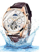 OVERFLY BIDEN MENS Automatic Skeleton Mechanical Multifunction wrist Watch For Men