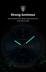 OVERFLY POEDAGAR Mens Watch Analog Multifunction Luxury wrist Watch For Men